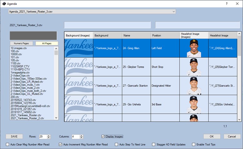 A baseball team roster is shown in this image.